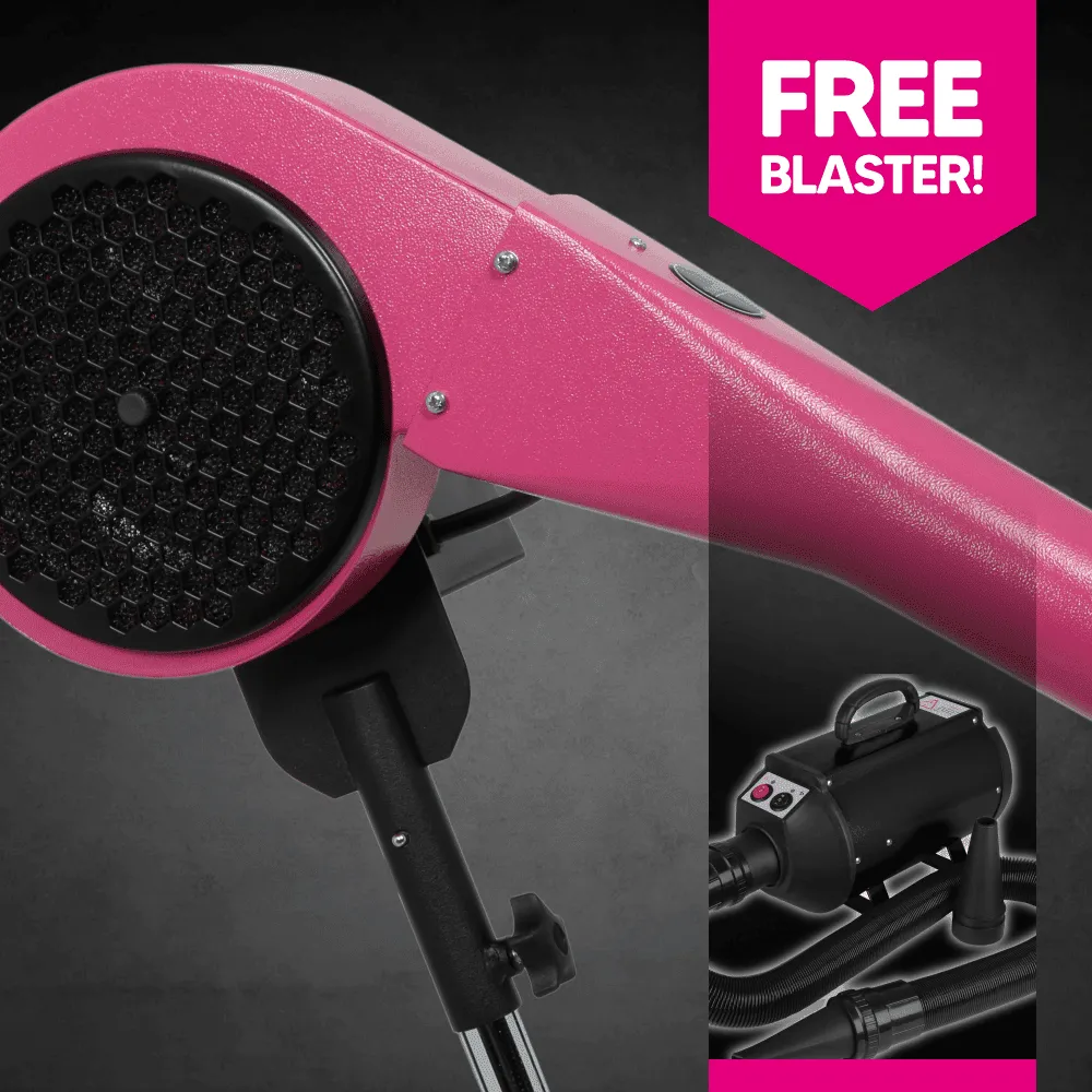 Professional Stand Dryer (Pink)