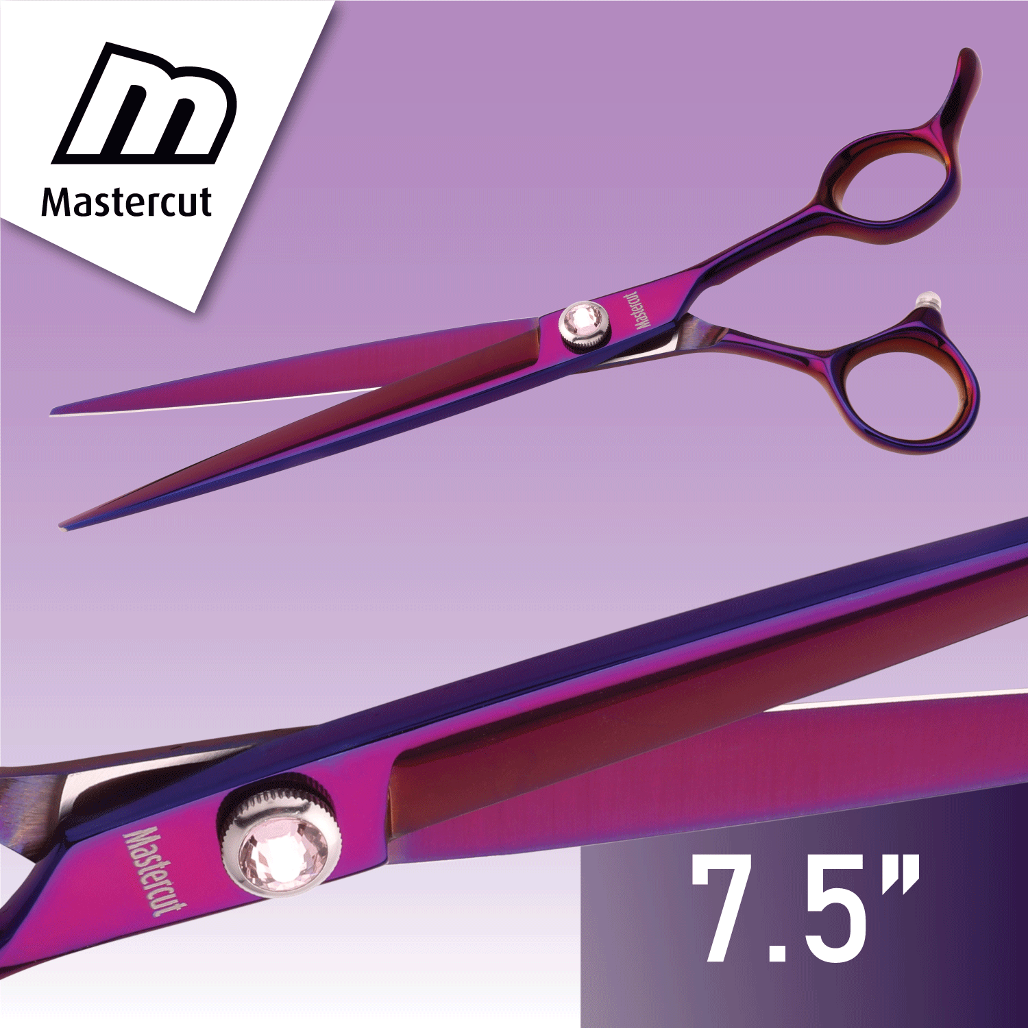 mastercut-convexpro-20cm-straight-professional-grooming-scissors-purple