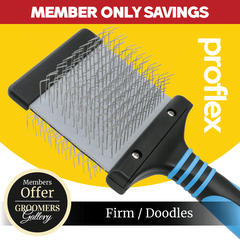 ProFlex (Doodle) Slicker Brush - Blue