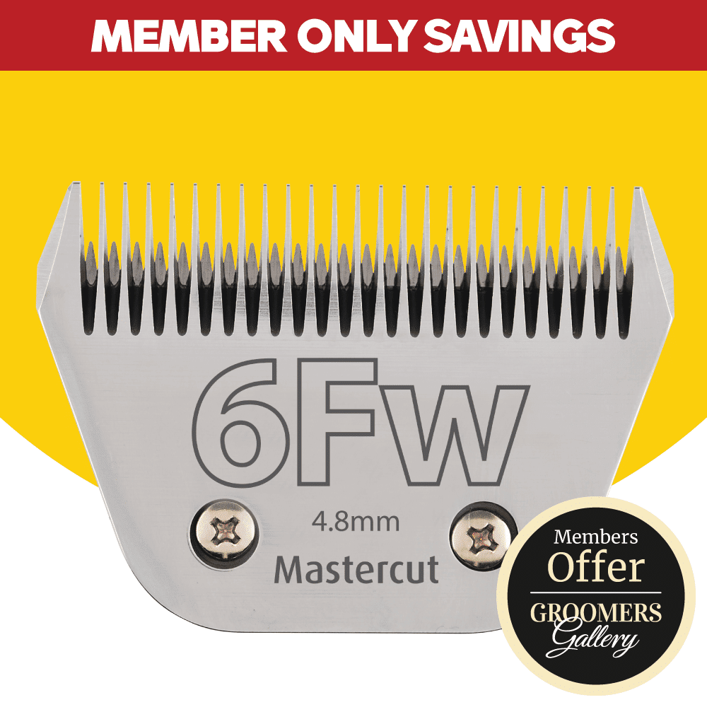 Detachable Blade: #6Fw