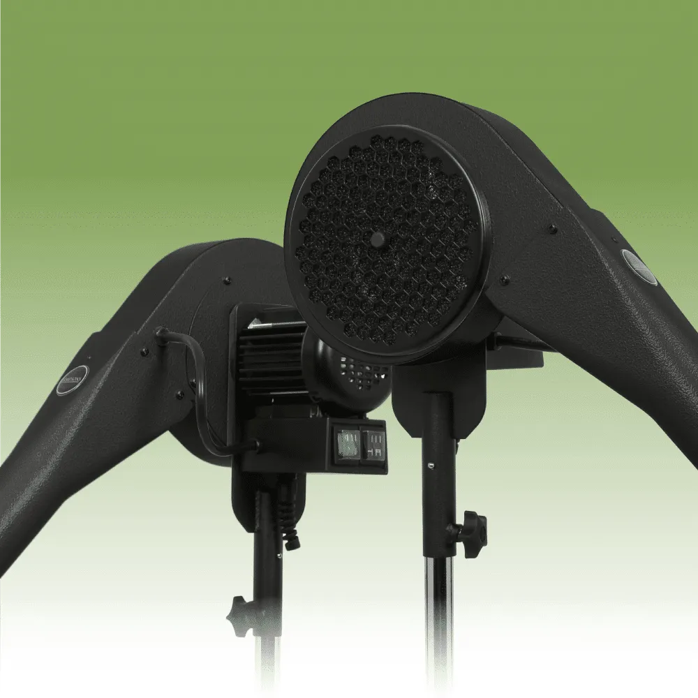 Professional Dog Hair Dryer (Black) limited edition