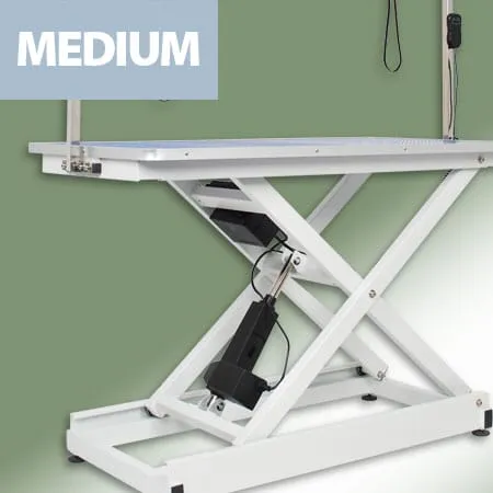 Electric Dog Grooming Table (Black)