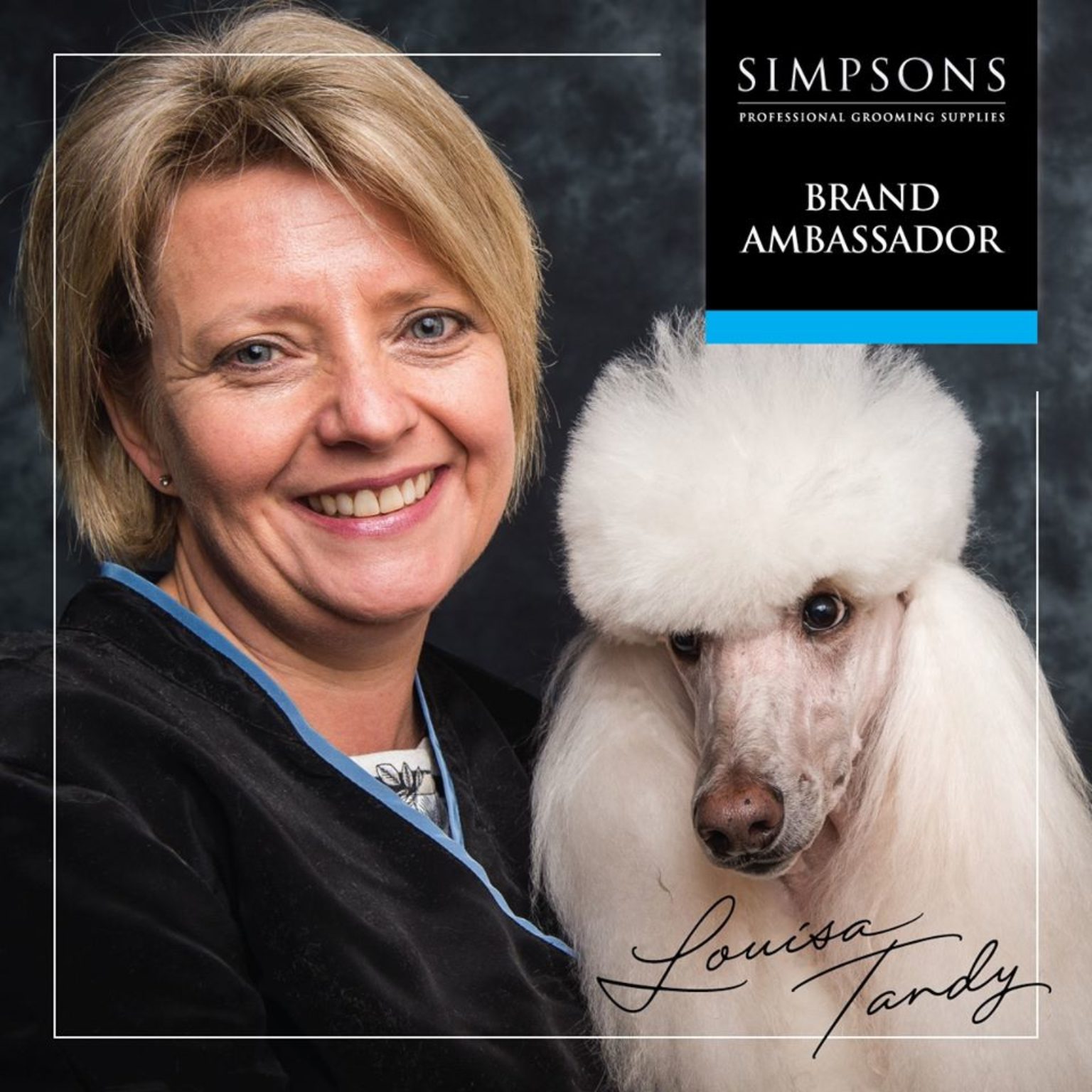 Dog Grooming Blog Archives Simpsons
