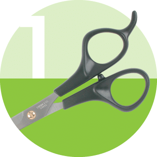 Image showcasing Budget dog grooming scissors – Great value range of affordable scissors